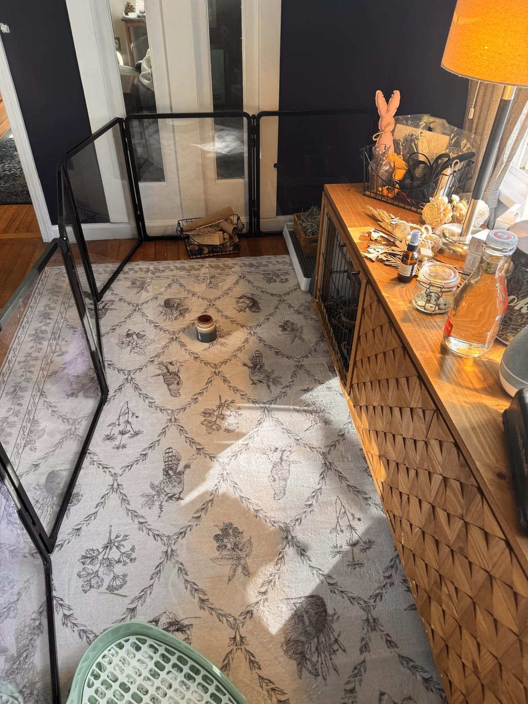 Customer photo review of FXW AuraSpace Pro Acrylic Indoor Dog Playpen
