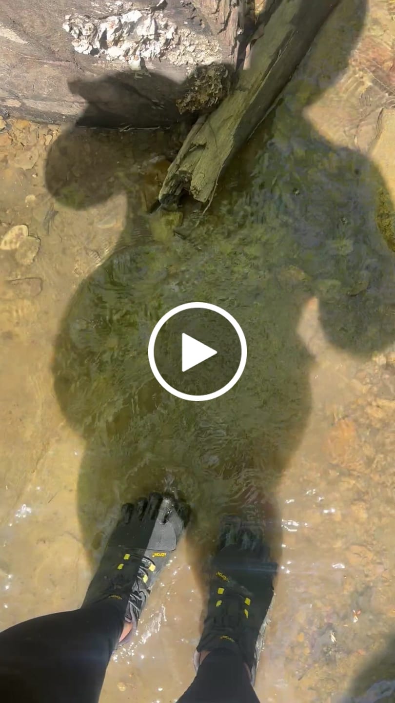 Customer video review of Vibram Women's V-Trail 2.0 in Black Yellow