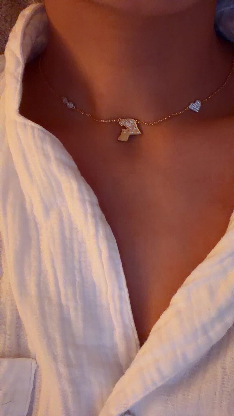 Customer photo review of Map Outline Charm