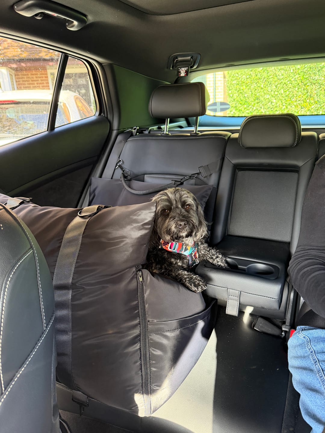 Customer photo review of Travel Dog Pod - Now With IsoFix