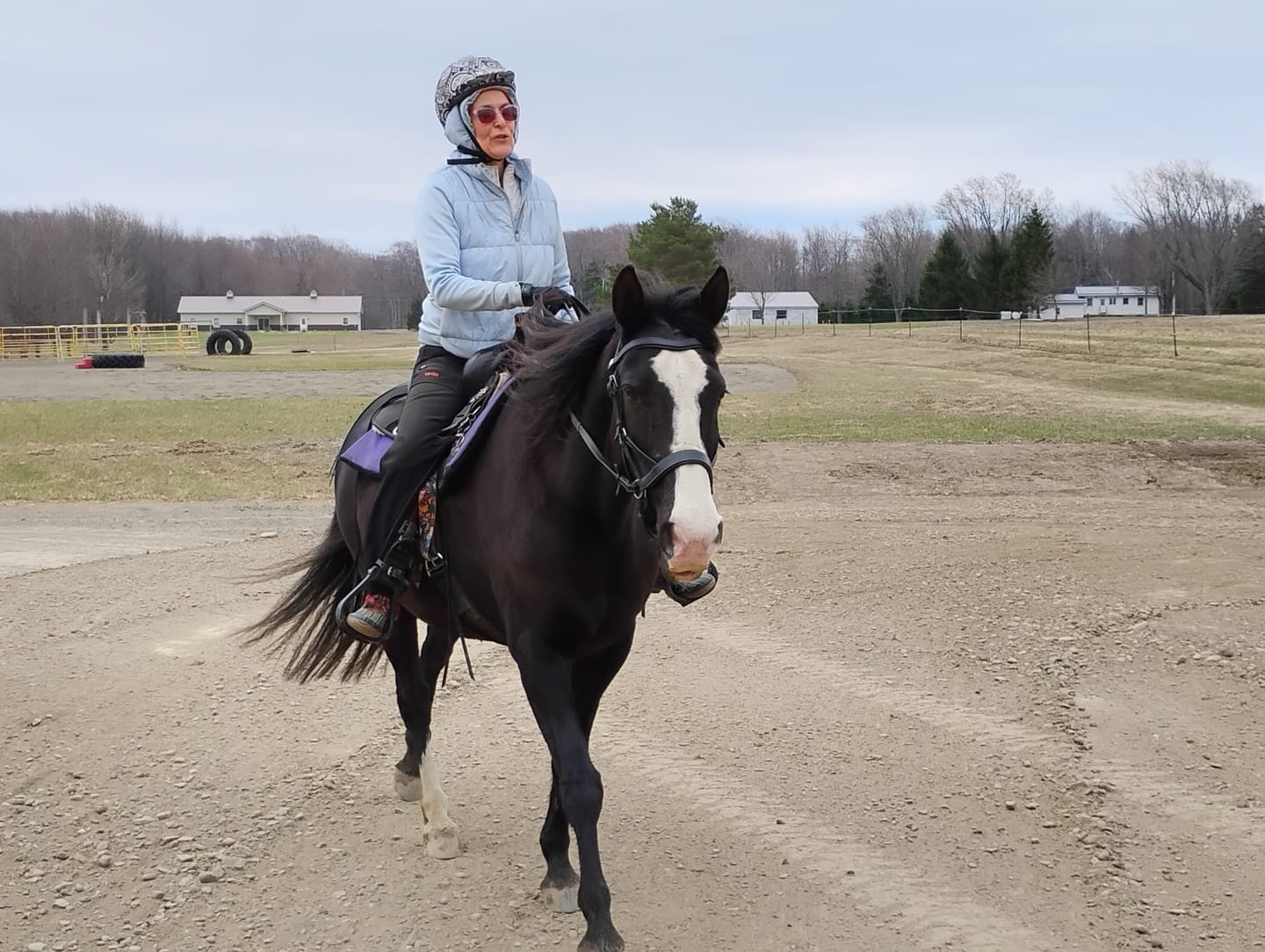 Customer photo review of Classic Leather Snap-Out Browband
