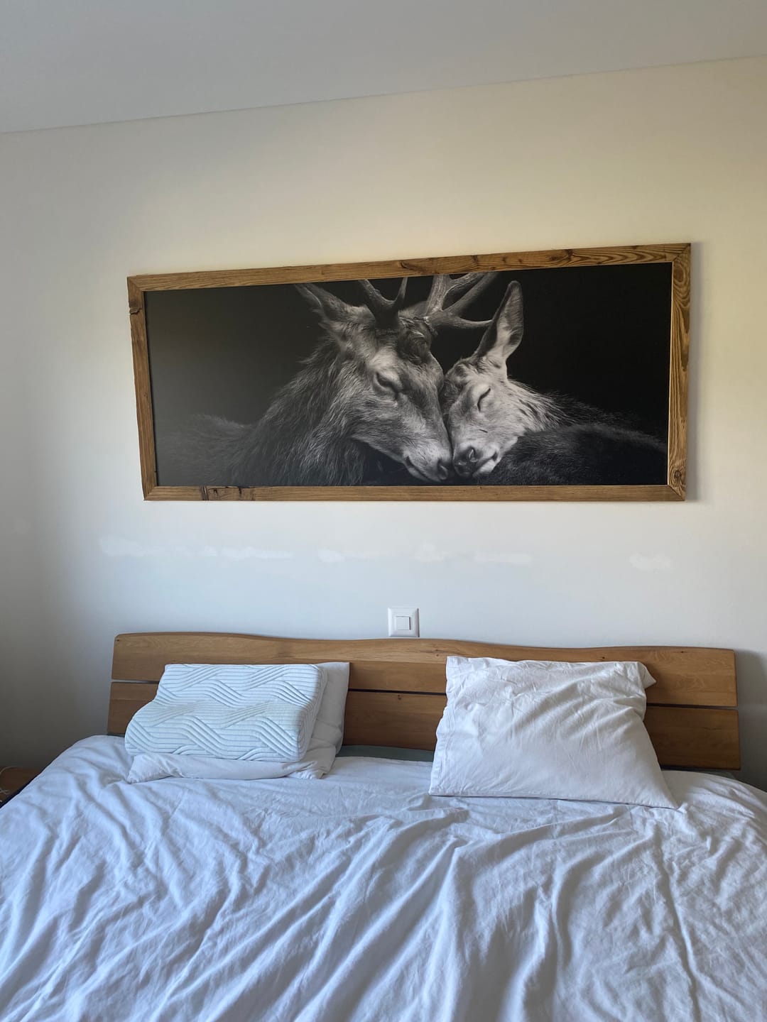 Customer photo review of Ibex Before the Matterhorn – Alu-Dibond wall art