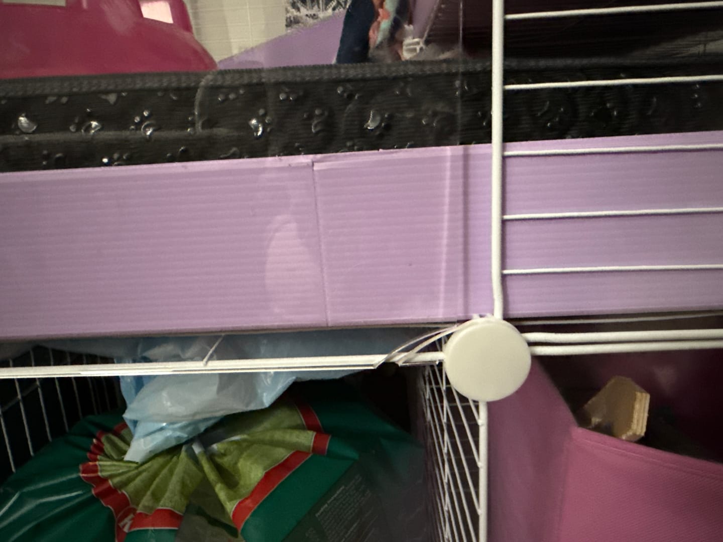 Customer photo review of 5x2 C&C Guinea Pig Cage with Loft & Stand