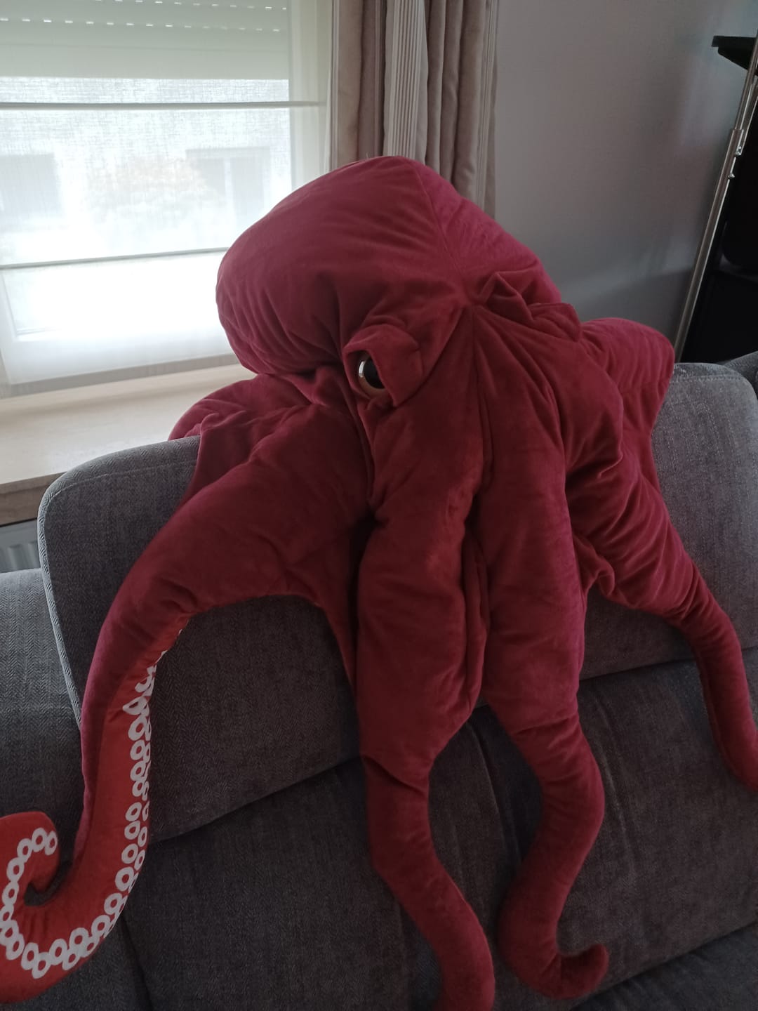 Customer photo review of Red Octopus Soft Stuffed Plush Toy