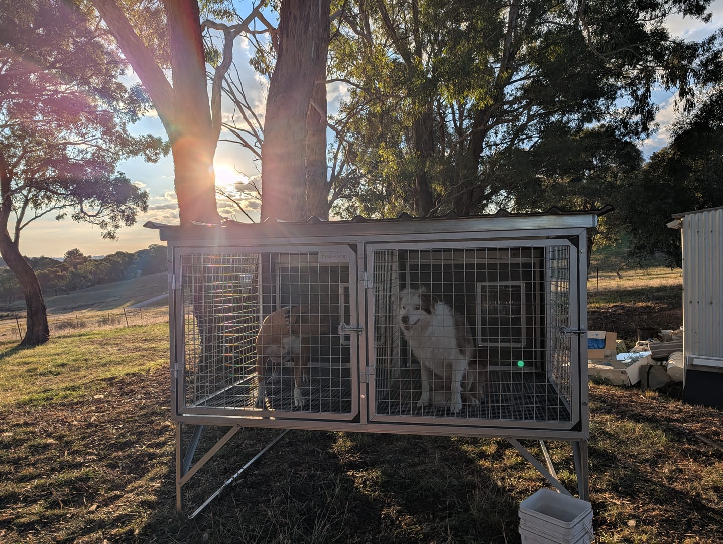 Customer photo review of CozyCube Coldroom Panel Insulated Dog House