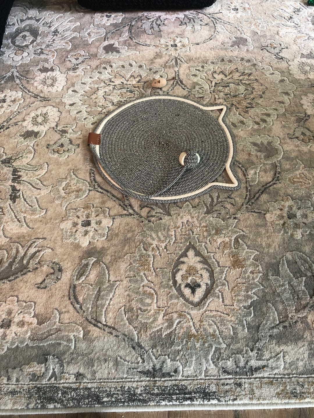 Customer photo review of Instinct Mat | The Scratching Mat Her Biology Actually Recognizes (NEW)
