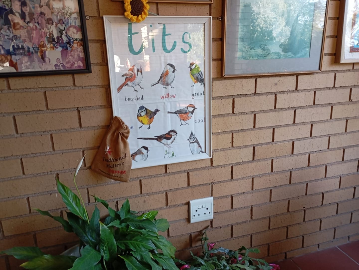 Customer photo review of Tits Cotton Tea Towel