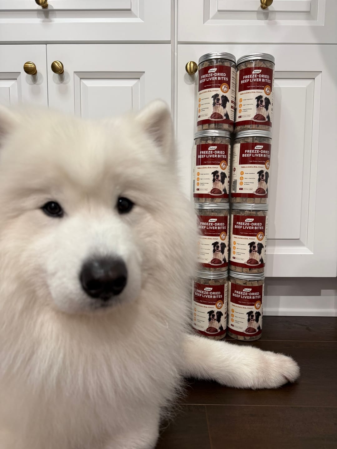 Customer photo review of Freeze-Dried Pure Beef Liver Bites