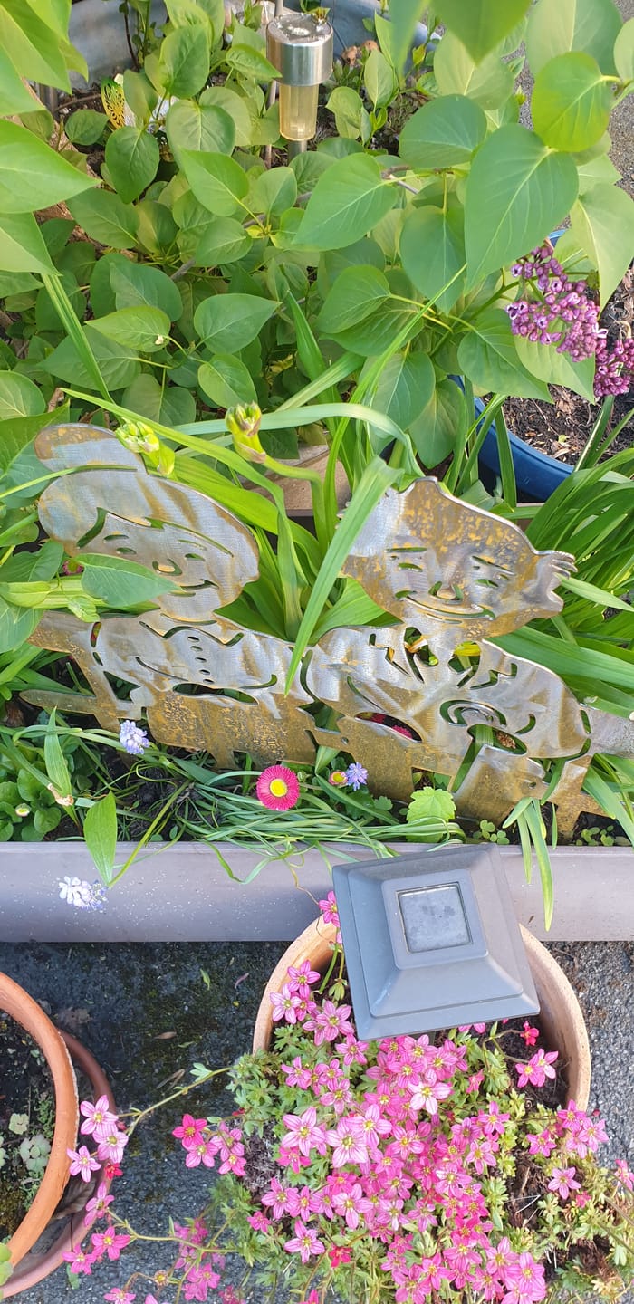 Customer photo review of Gartenstecker Oma & Opa
