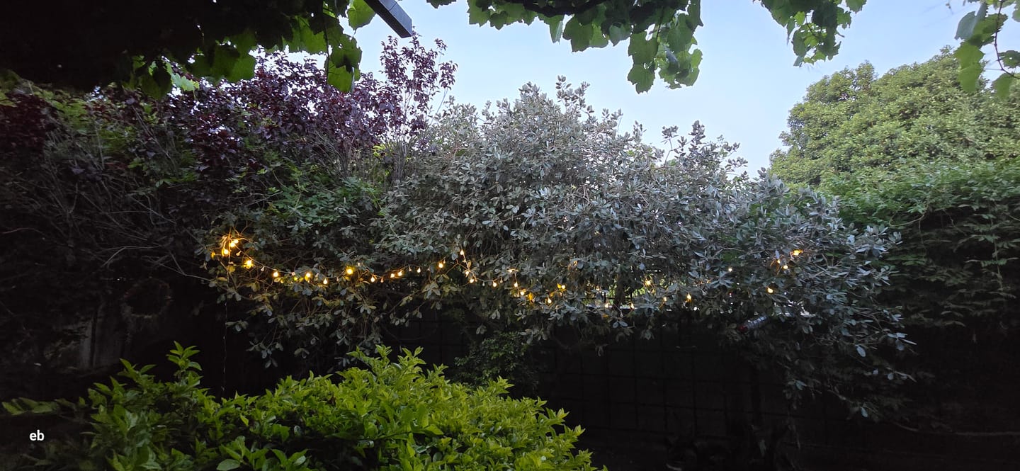 Customer photo review of Outdoor String Lights