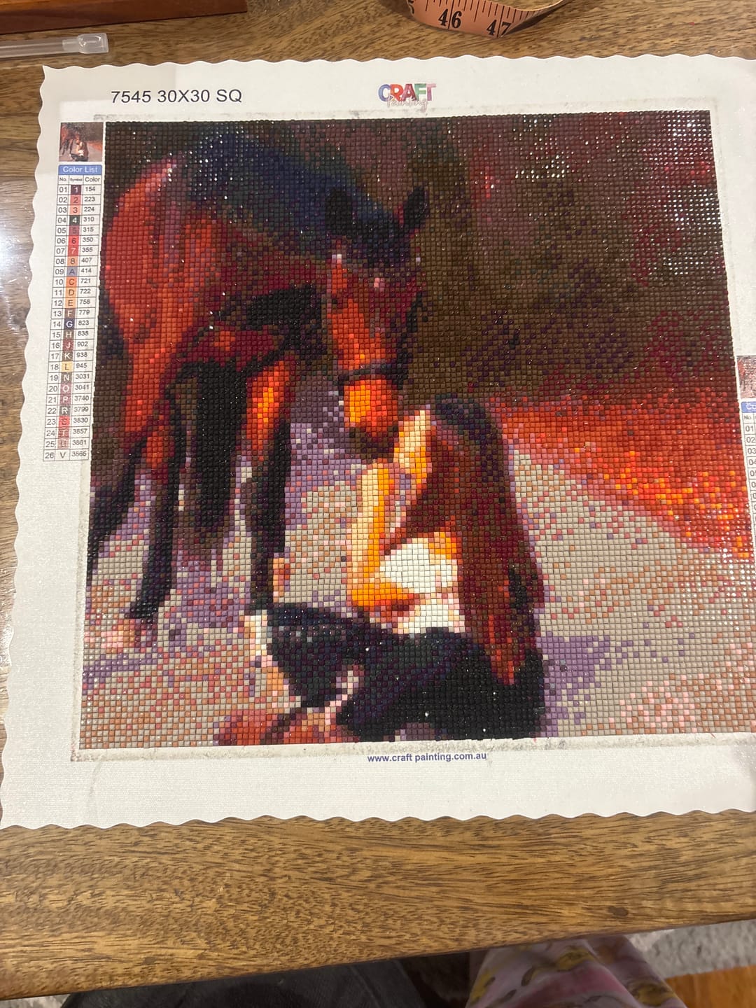 Customer photo review of Custom Diamond Painting