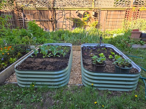 Customer's two green 17” Tall Modular garden beds installed side-by-side in a garden and planted with vegetables.
