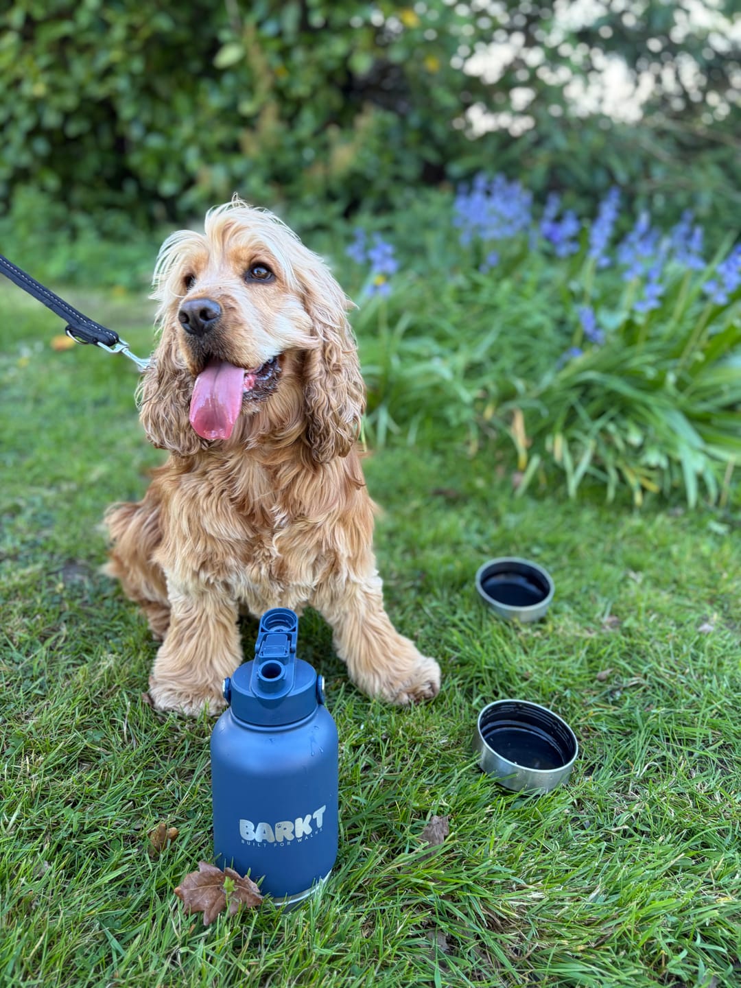 Customer photo review of Adventure Blue 3-in-1 – Barkt Bottle & Bag