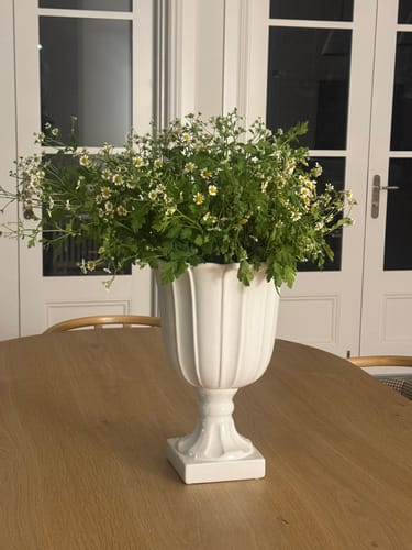 Customer photo review of Large Fiore Urn