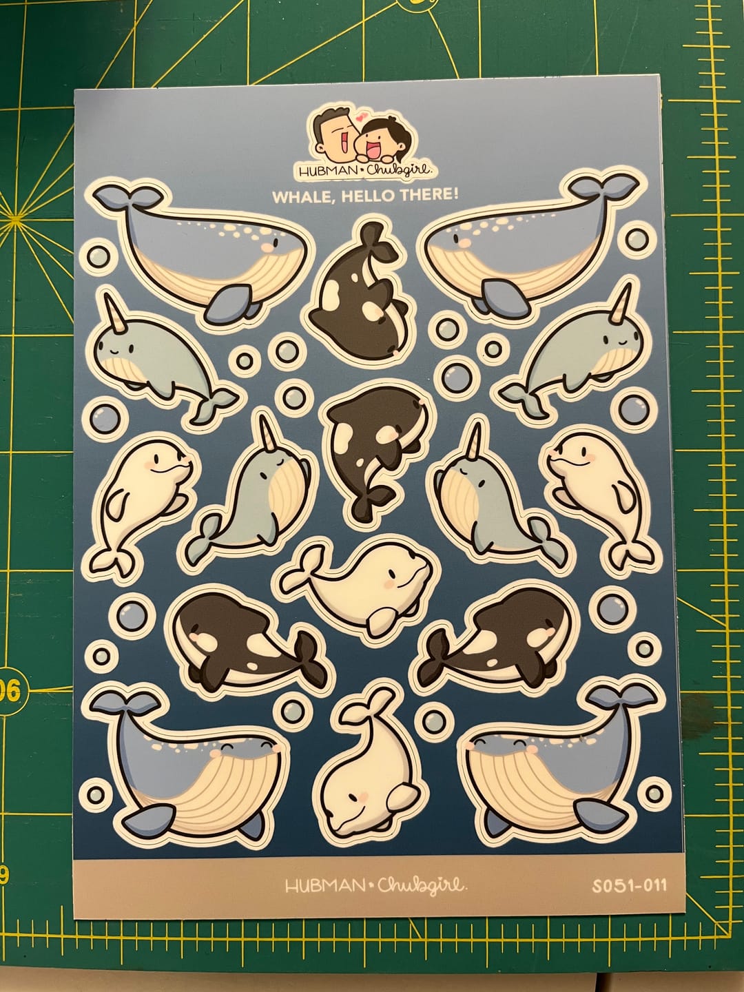 Customer photo review of Whale, Hello There! Sticker Sheet