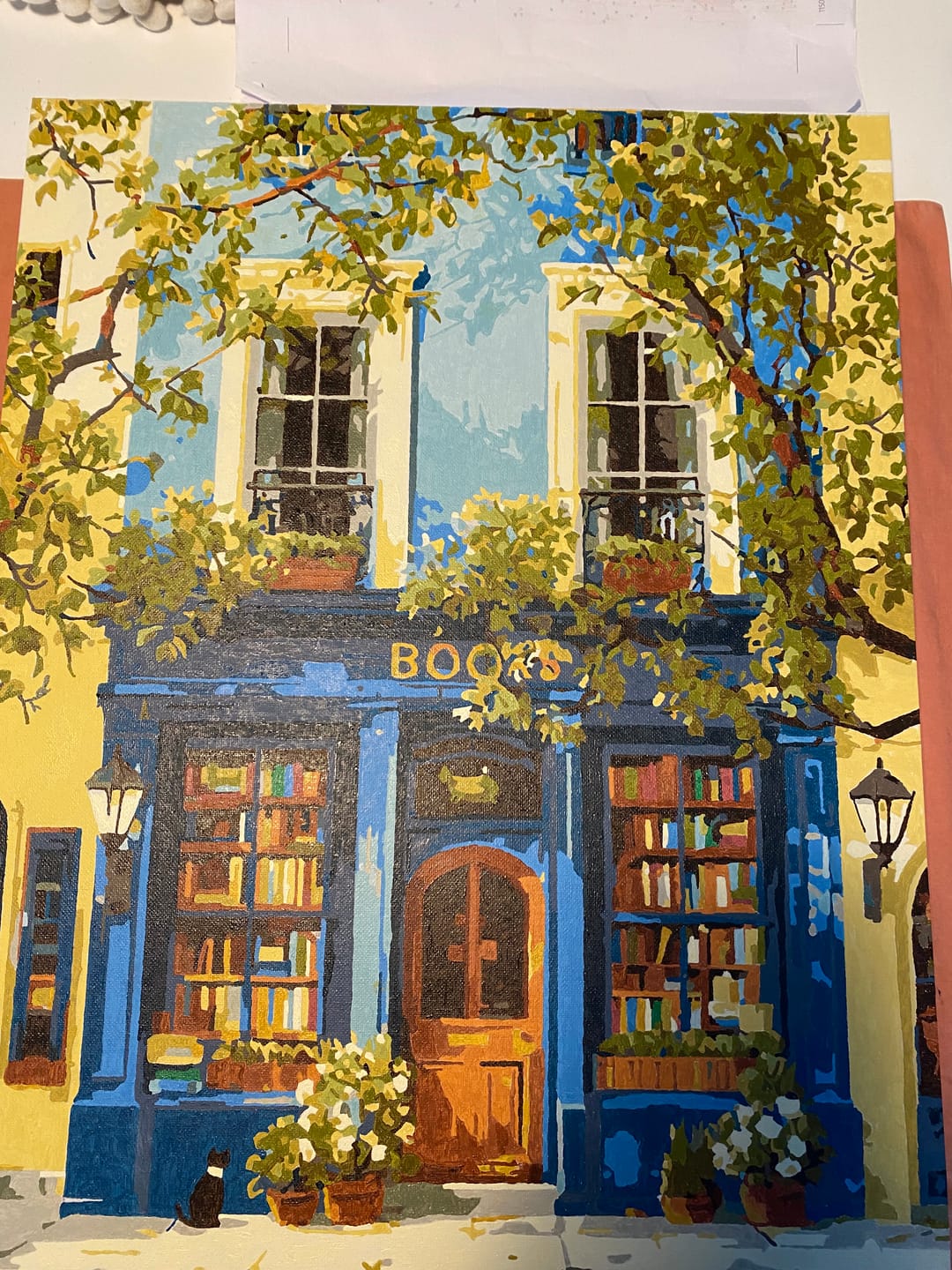 Customer photo review of The Blue Bookshop | Paint by Number