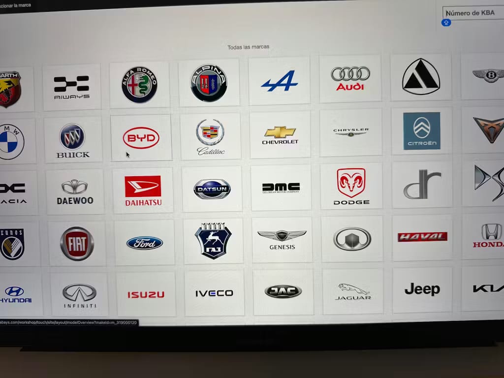 Customer photo review of Professional Repair Software for All Cars