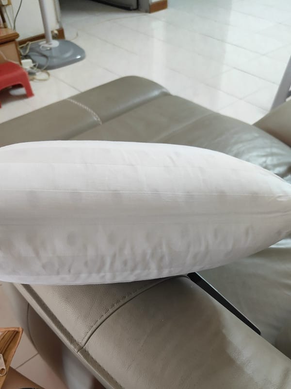 Customer photo review of Getha Travel Pillow - Small