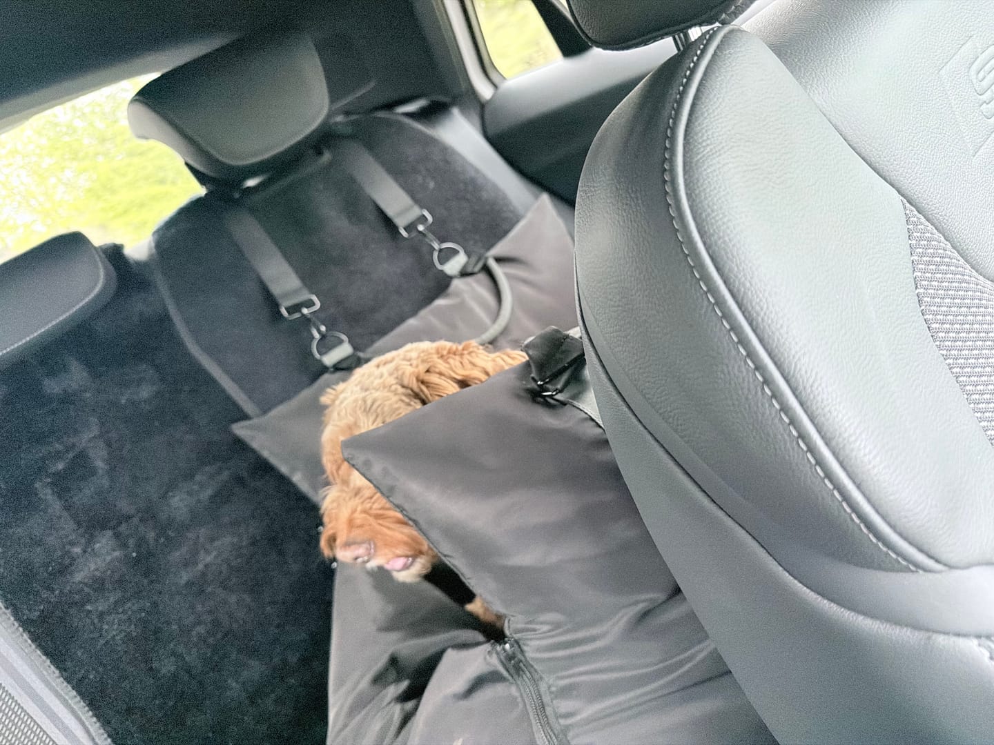 Customer photo review of Travel Dog Pod - Now With IsoFix