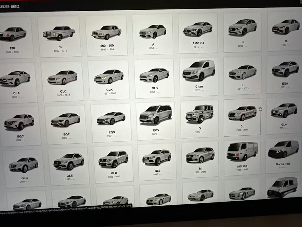 Customer photo review of Professional Repair Software for All Cars