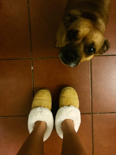 Customer photo review of BRUCE SLIPPERS