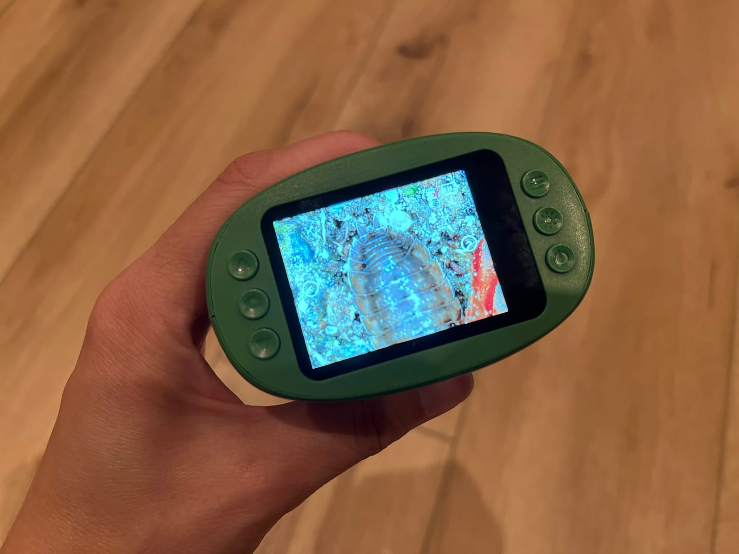 Customer photo review of Edubini Abenteuer-Mikroskop für Kinder