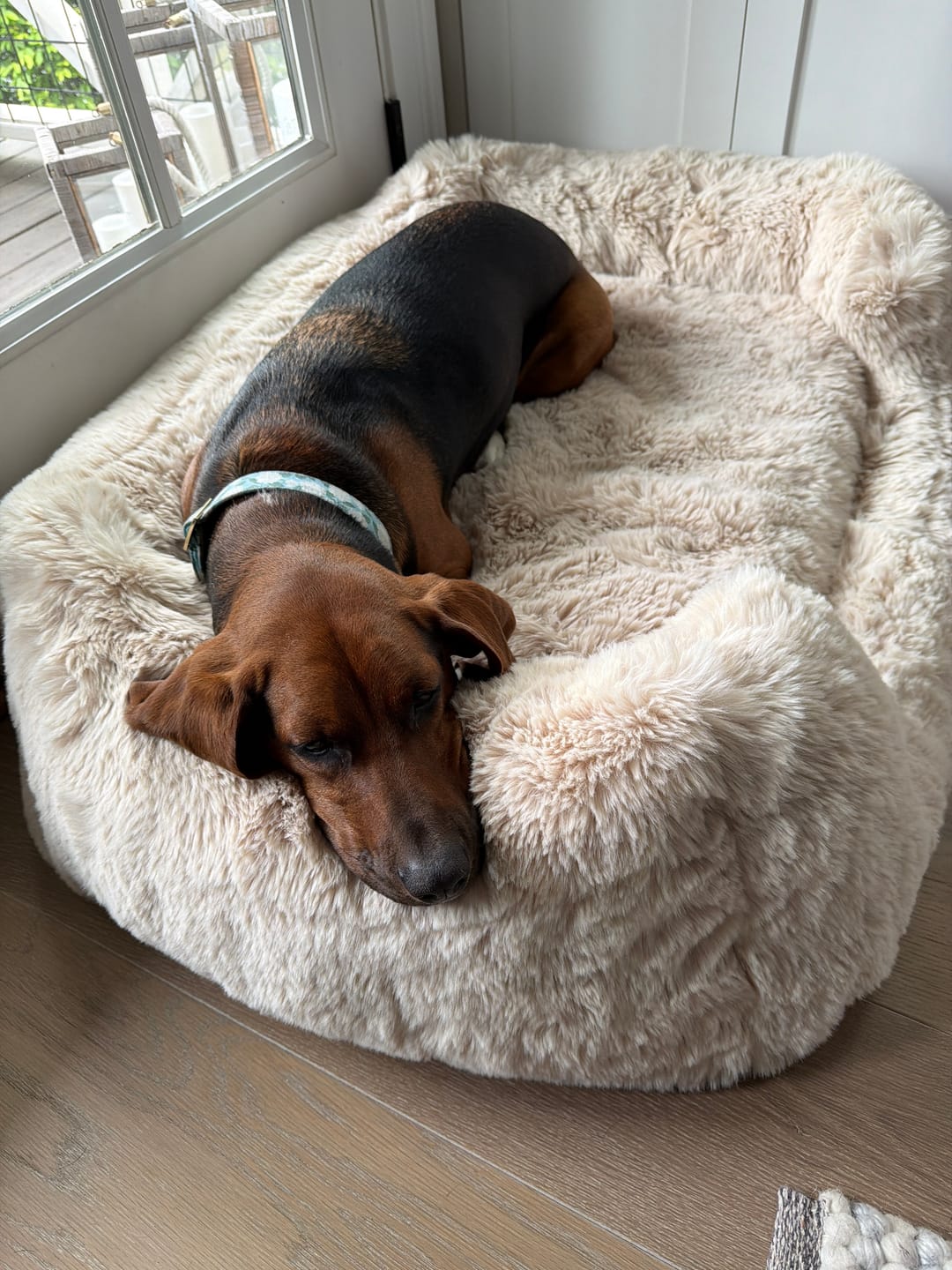 Customer photo review of Bark-Less Bites