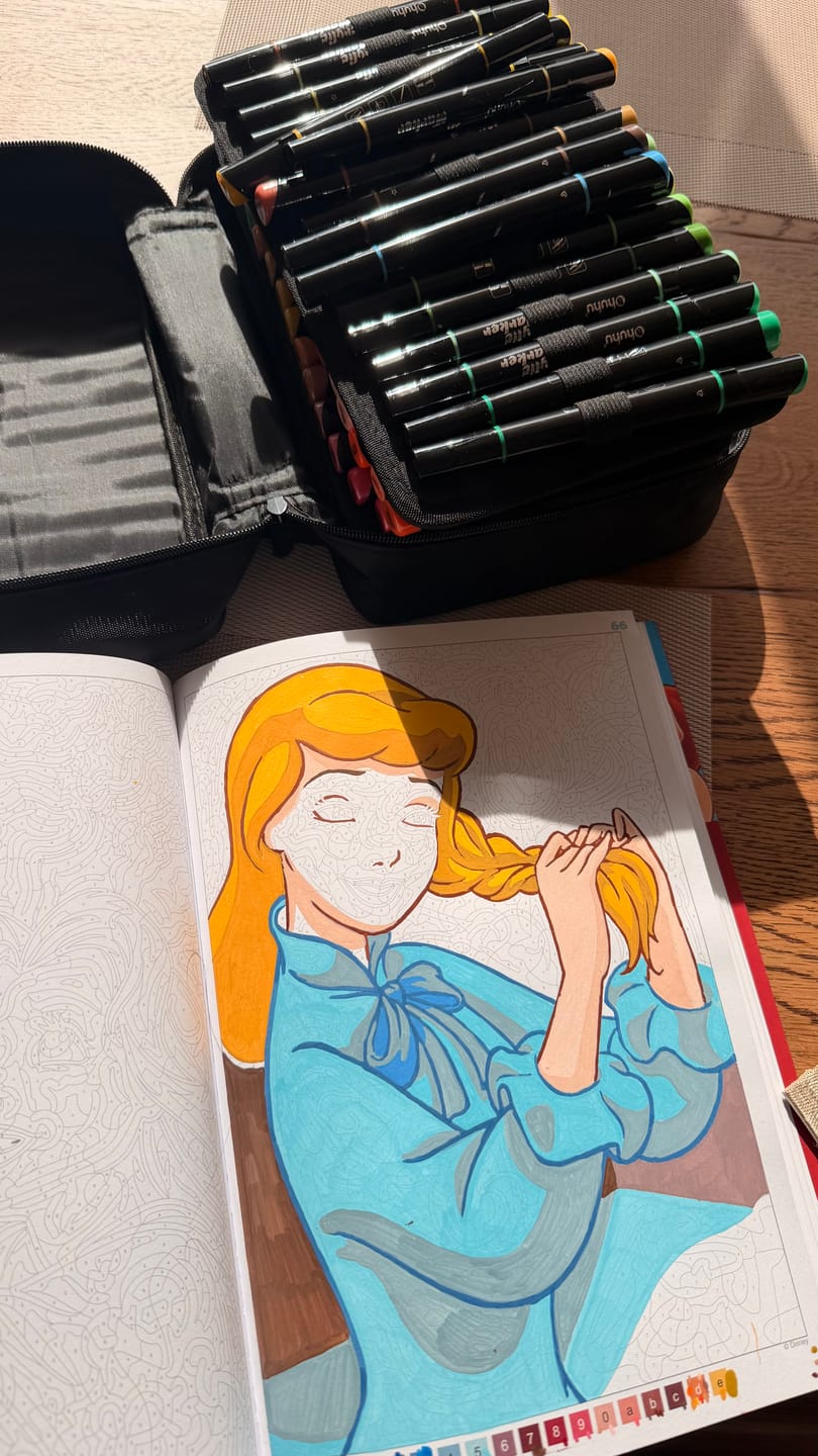 Customer photo review of Ohuhu Dual Nib Waterproof Acrylic Pen 30 / 60 / 90 Colors - Kakaako