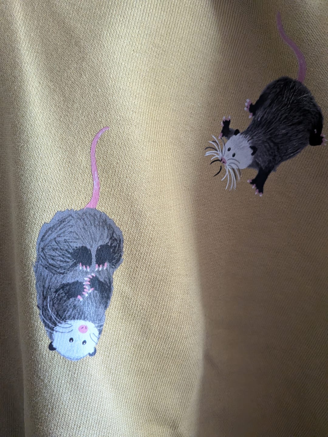 Customer photo review of Opossums Oversized Boxy Hoodie