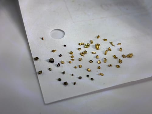 Customer photo review of 3 Lb. NUGGET RESERVE™ ‘Museum Specimen Chase’ - Gold Paydirt