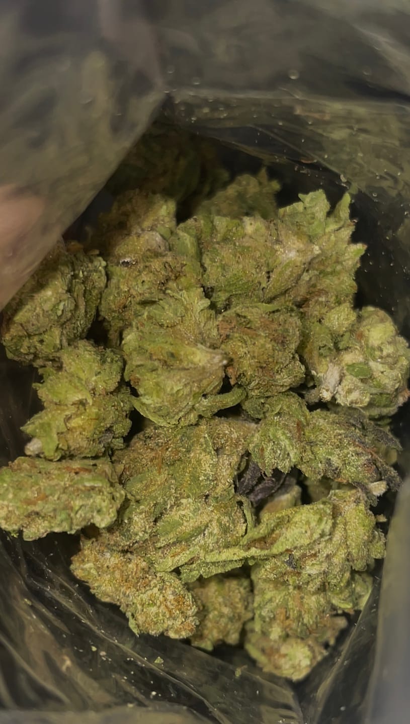 Customer photo review of Gummies - Minis - 28 Grams - Hybrid