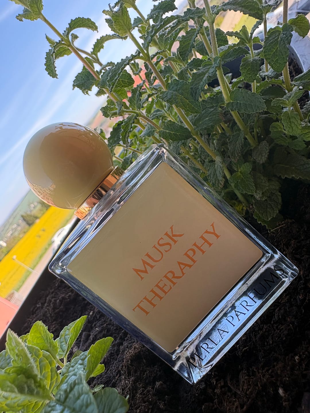 Customer photo review of Musk Therapy