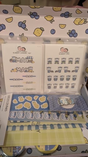Customer's Ultimate Subscription box with Blueberry Lemonade stickers, colorful washi tapes, and an enamel pin.