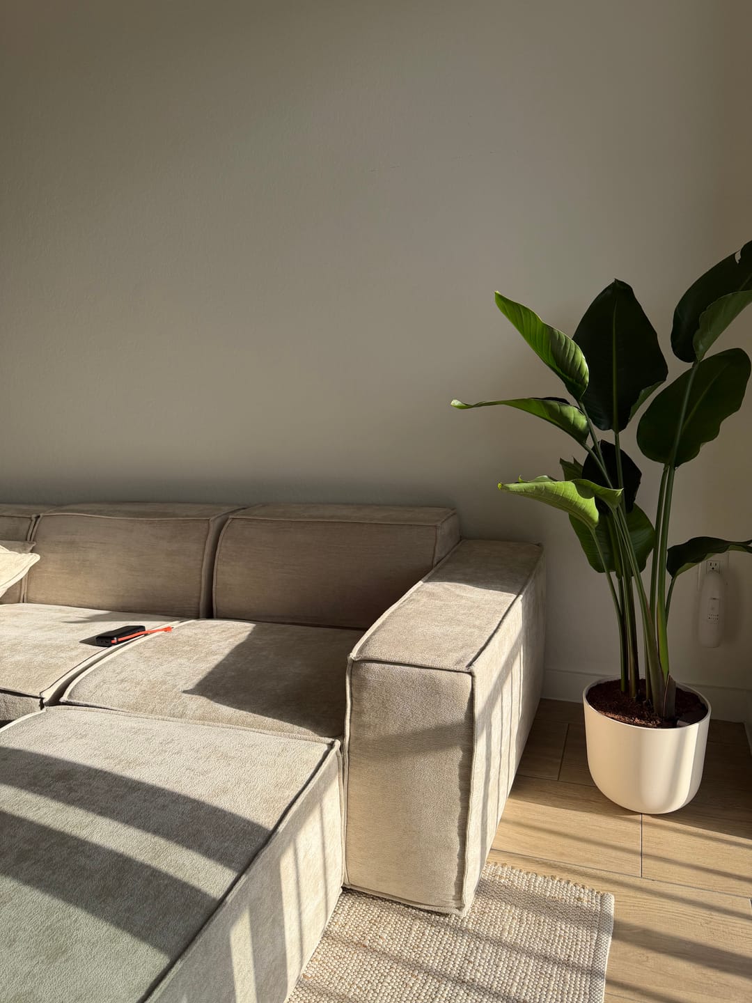 Customer photo review of M1 Sofa Sectional