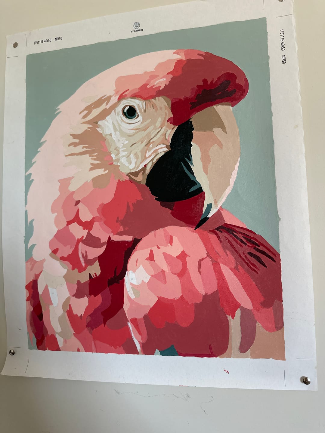Customer photo review of Pink Ara | Paint by Number
