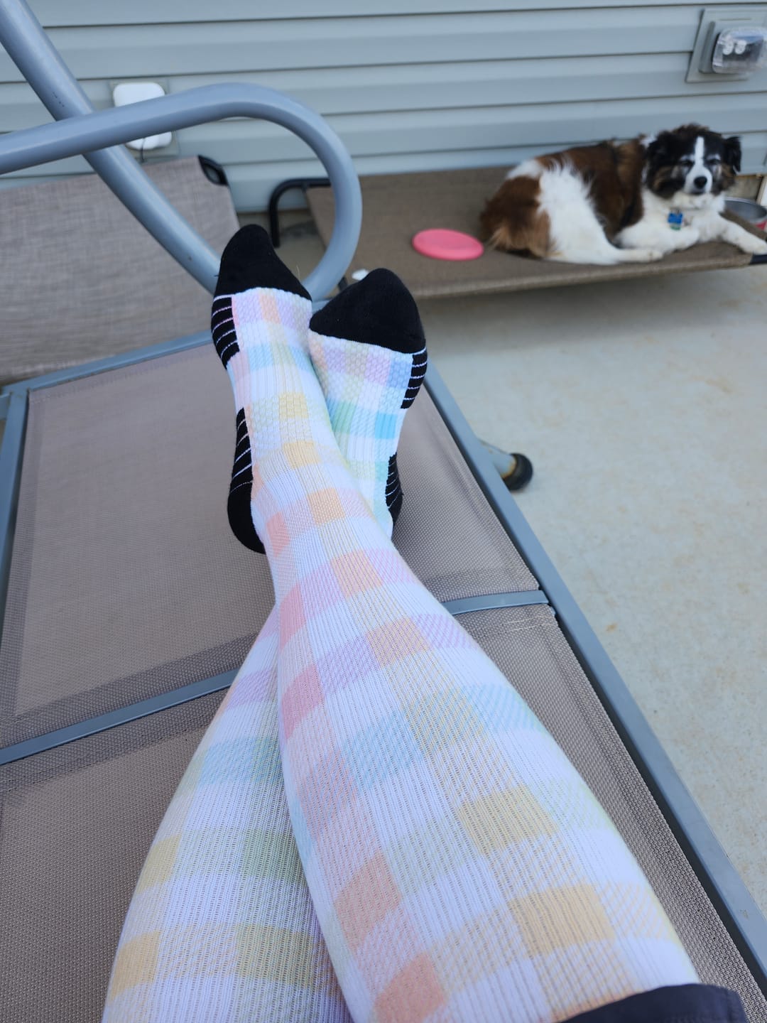 Customer photo review of Pastel Plaid Compression Socks