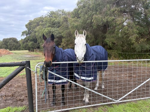Customer photo review of LE Boxter Turnout Ripstop 0g with Fleece