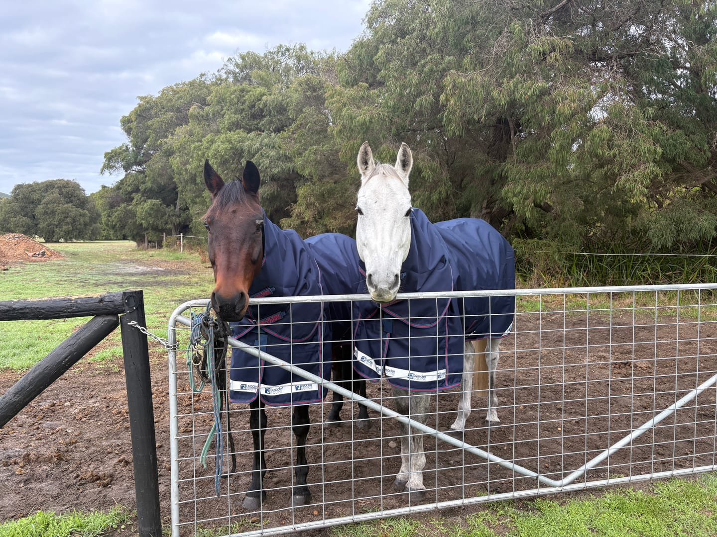 Customer photo review of LE Boxter Turnout Ripstop 0g with Fleece