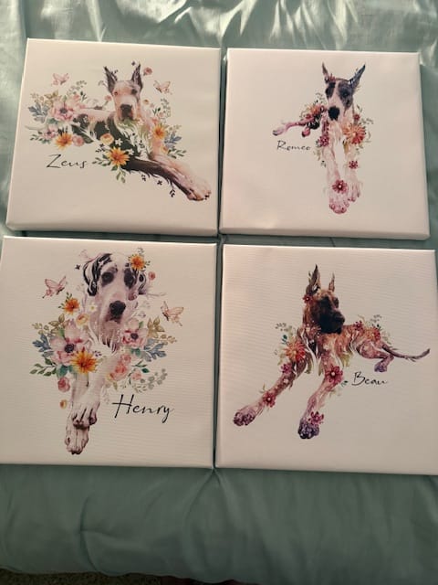 Customer photo review of Flowerpup Custom Pet Portrait (Humans too!)