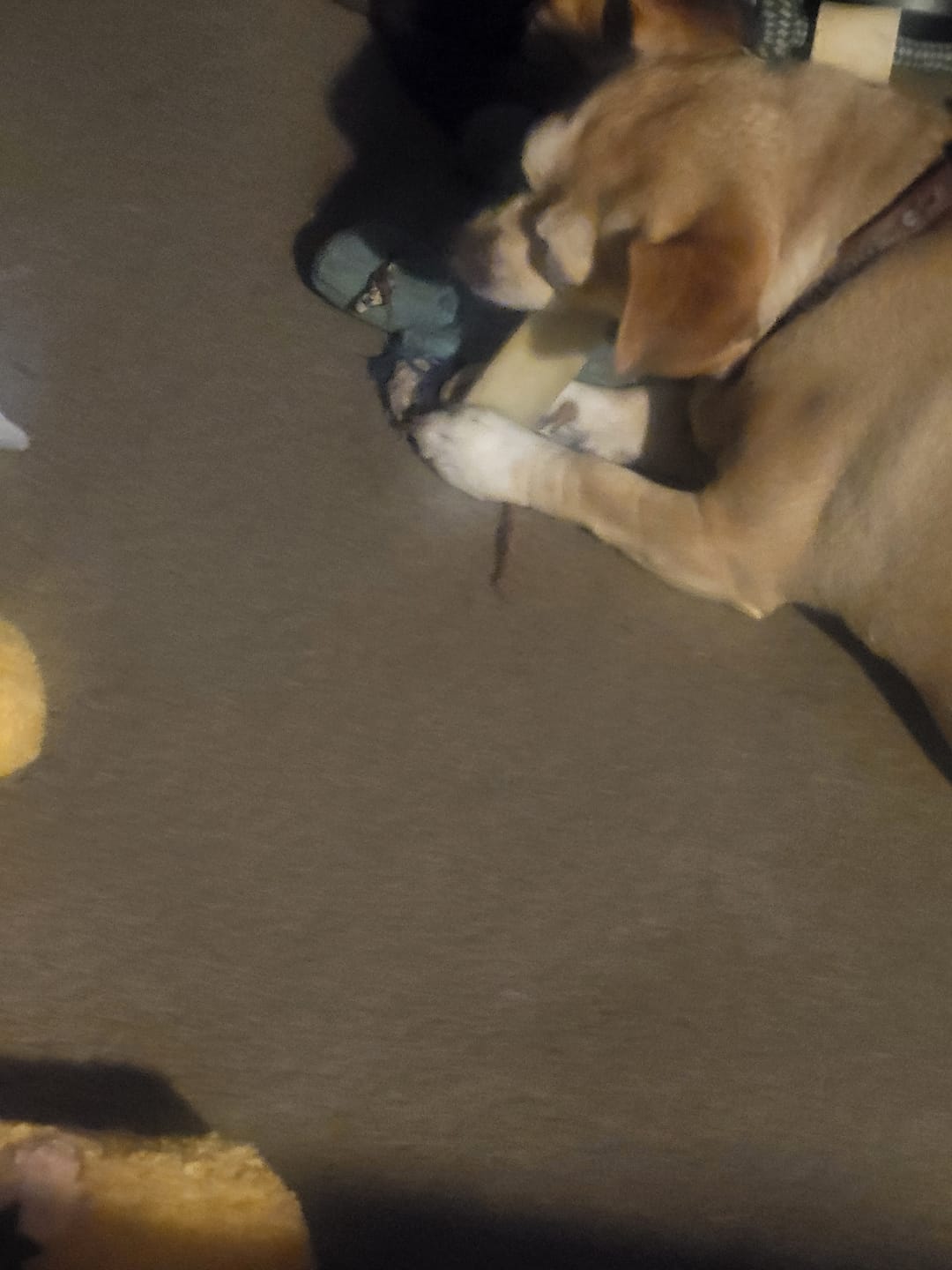Customer photo review of Coconut Yak Chews