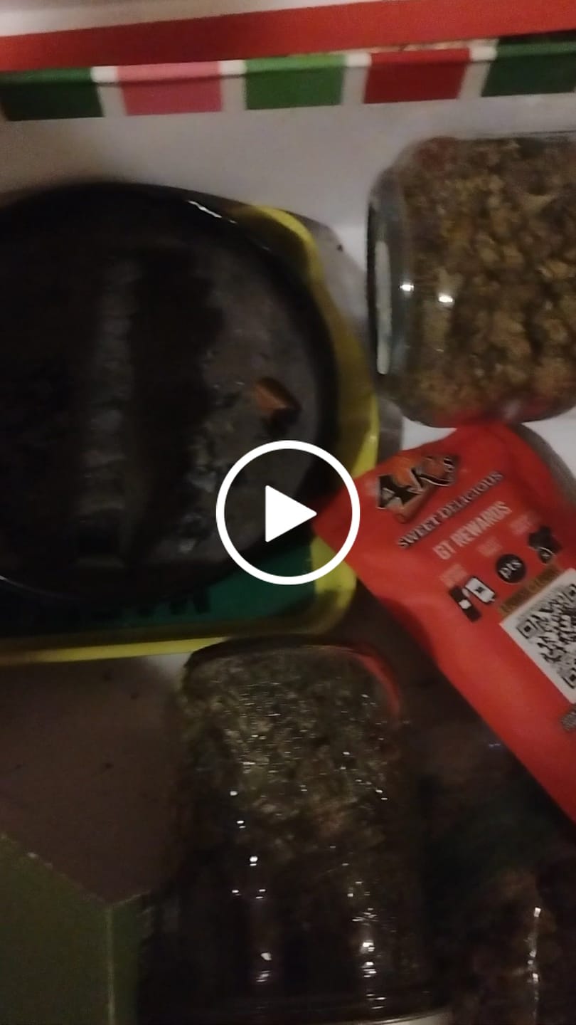 Customer video review of Venom OG - Bulk - Indica
