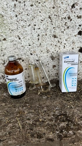 Customer photo review of Catosal