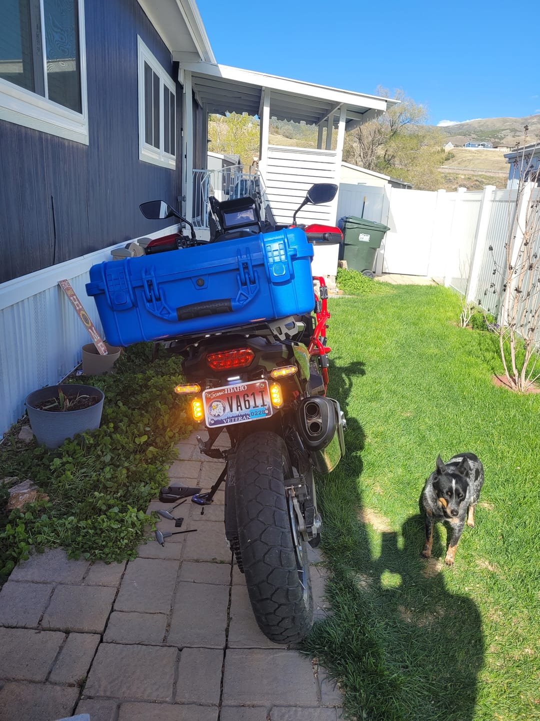 Customer photo review of T3 Rear Switchback LED Turn Signal Pods with License Plate Mount
