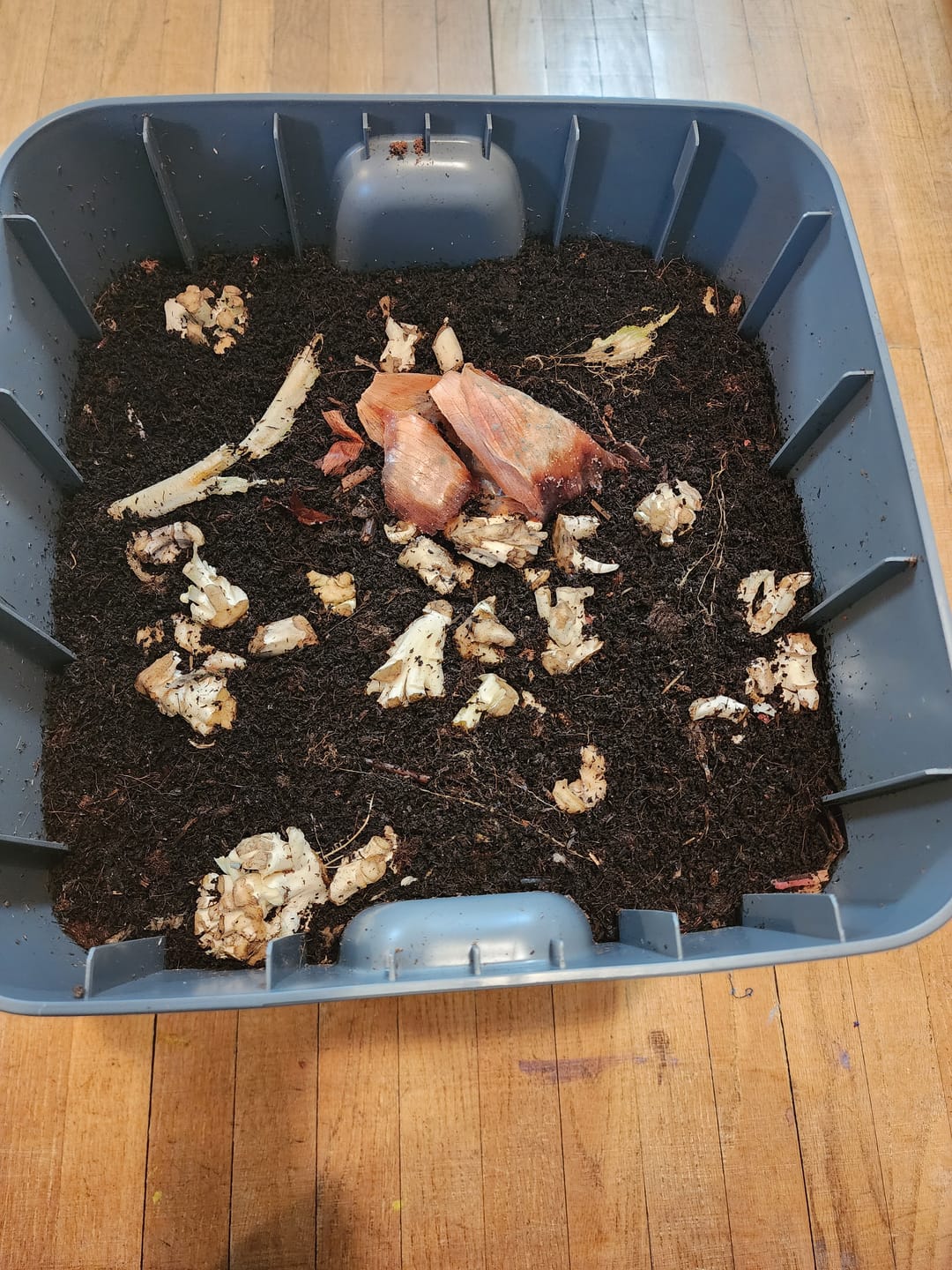 Customer photo review of Worm Bedding - Coco Coir