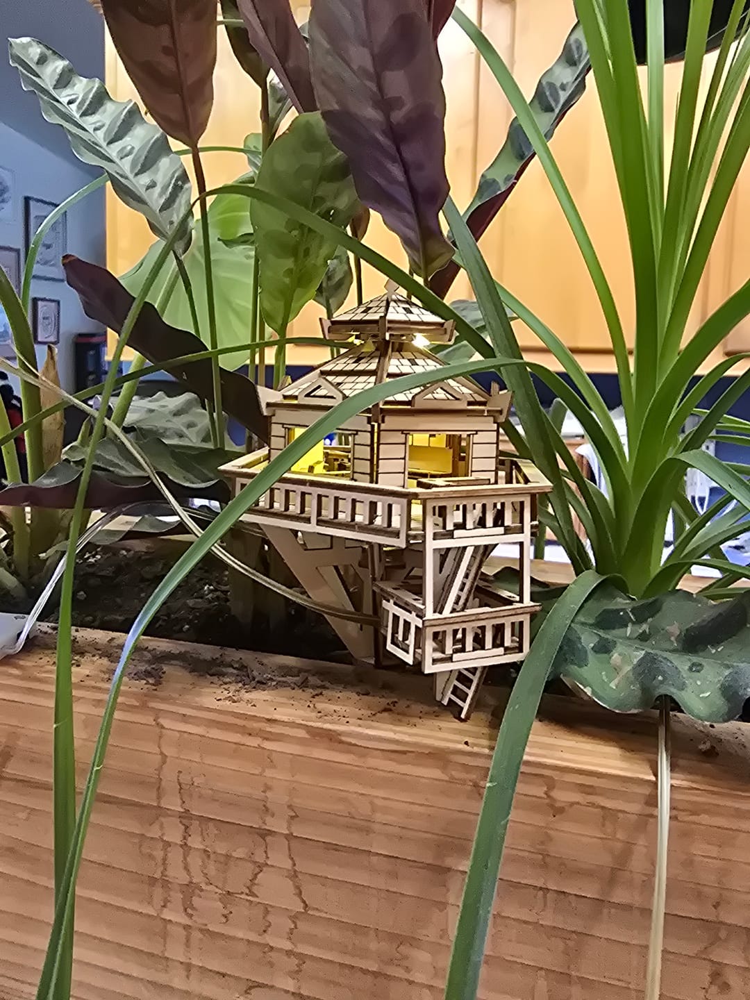 Customer photo review of Woodland Outpost