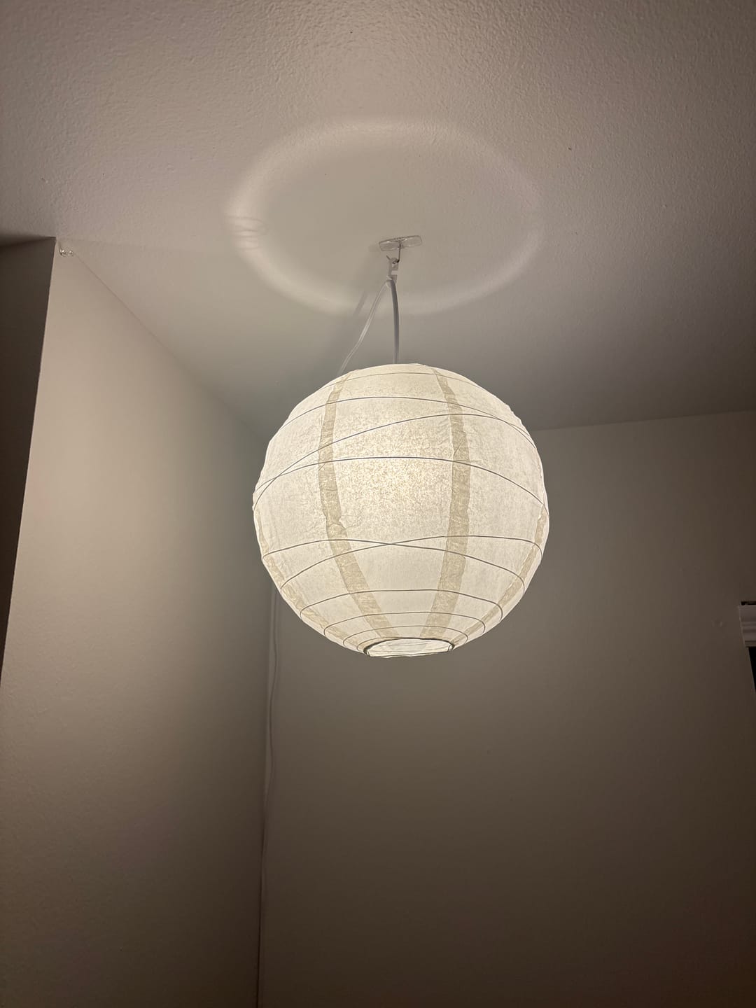 Customer photo review of 14" Beige / Ivory Round Paper Lantern, Crisscross Ribbing, Chinese Hanging Wedding & Party Decoration