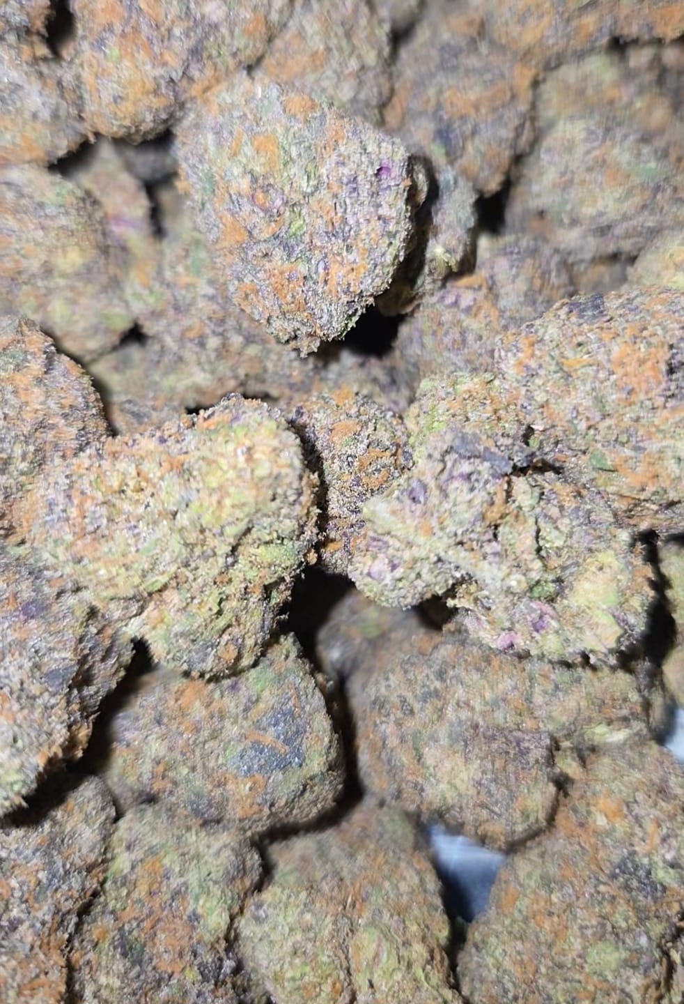 Customer photo review of Zoapz Indoor - Bulk - Hybrid