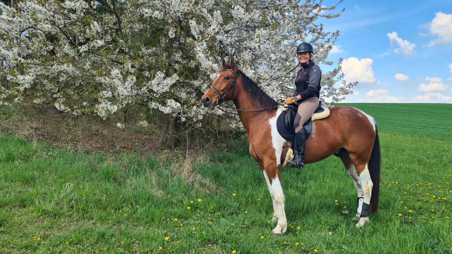 Customer photo review of Engel - Lammfell Satteldecke Sadek2