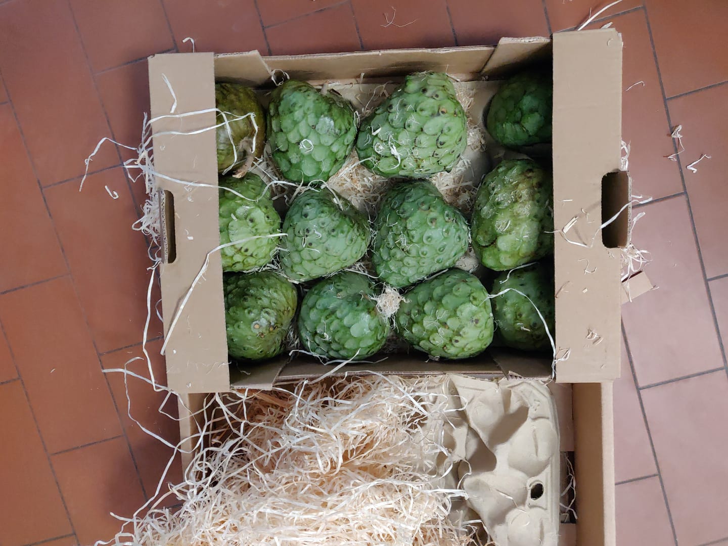 Customer photo review of Cherimoya Bio Hochernte-Retterbox Sonderaktion % 4kg