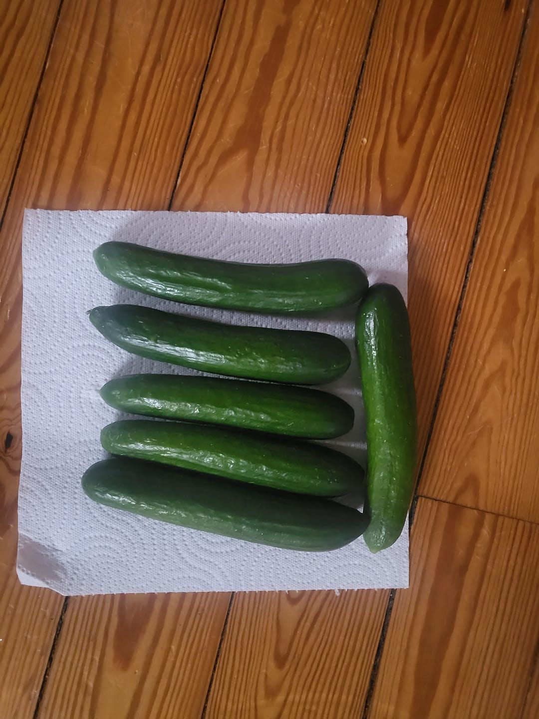 Customer photo review of Minigurken Bio